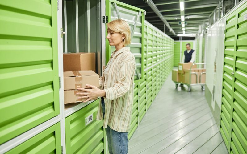Plagas y almacenamiento: por qué el control preventivo es indispensable